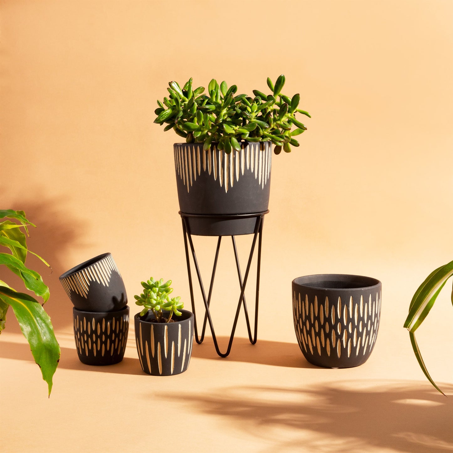 Black Sgraffito Mini Planters - Set of 3