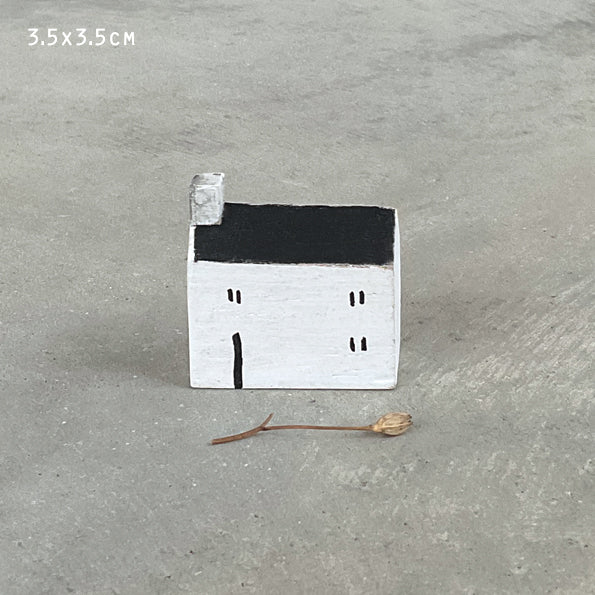 Coastal house - Single wide
