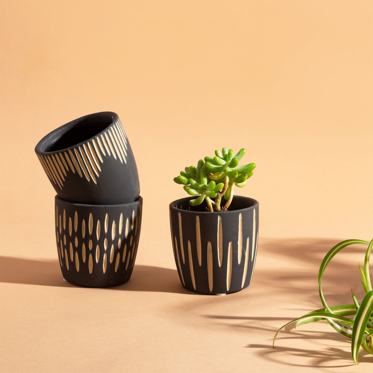 Black Sgraffito Mini Planters - Set of 3